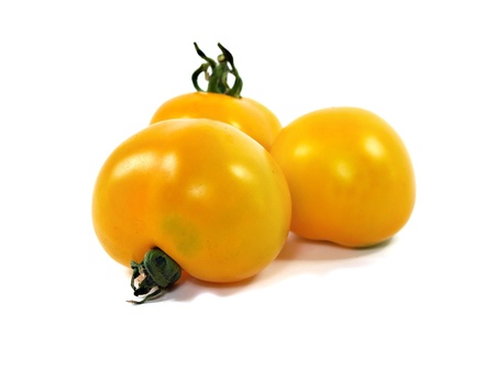 yellow organic tomatoes on a white background 
  の写真素材