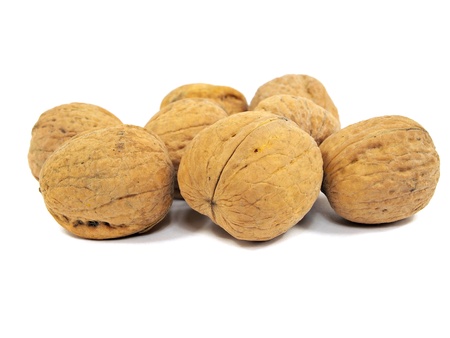 walnuts on a white background 
  の写真素材