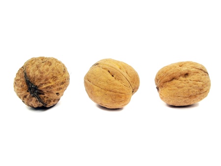 walnuts on a white background 
  の写真素材