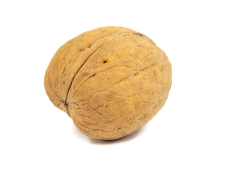 walnuts on a white background   