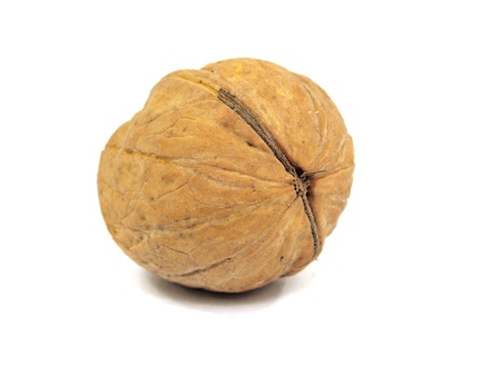 walnuts on a white background 
  の写真素材
