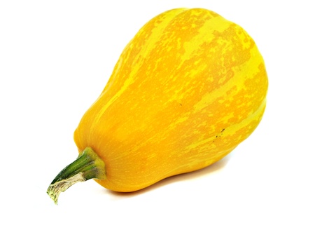pumpkin vegetable on a white background 
      の写真素材