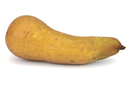 organic brown pear on a white background の写真素材