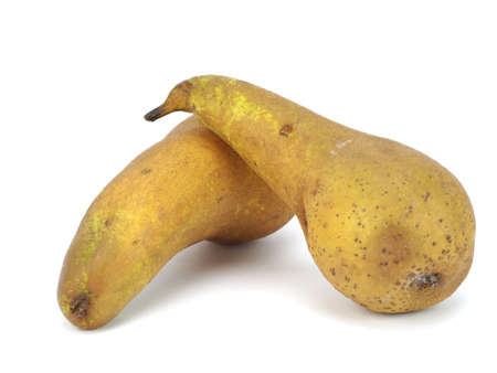 organic brown pear on a white background の写真素材
