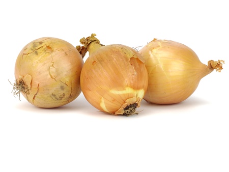 bulbs of onion on a white background   の写真素材