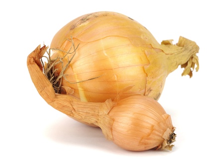 bulbs of onion on a white background   の写真素材