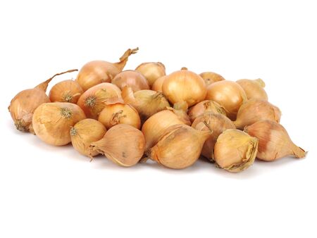 onion seeds for planting on a white backgroundの写真素材