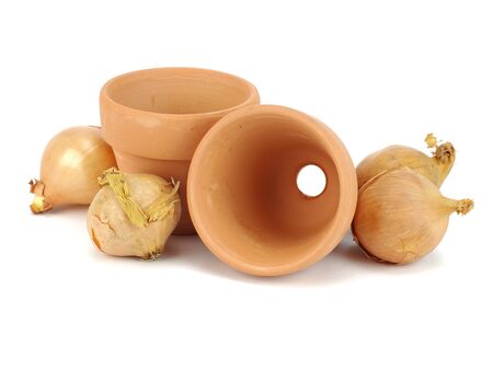 onion seeds for planting and clay flowerpots on white backgroundの写真素材