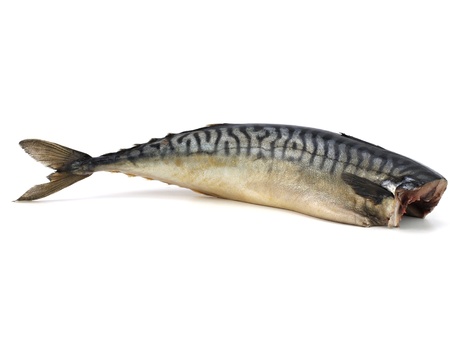 Salted Mackerel without head on a white background の写真素材
