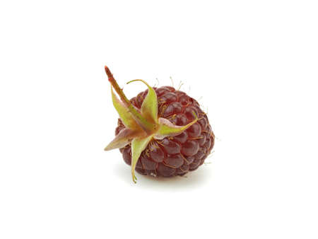 Ripe raspberry berries on a white background
