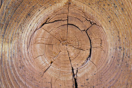 Cracked bough on an old weathered wooden board close-up. Natural light brown background or wallpaper. Backdrop with low contrast. Top view from above. Macroの写真素材