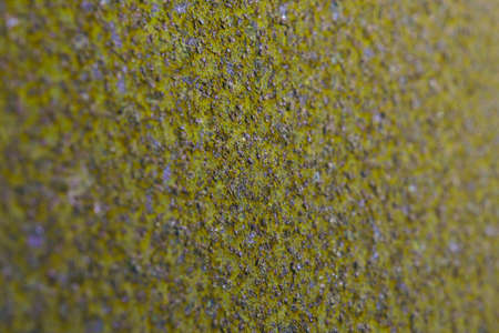 Coarse olive tinted background or wallpaper. Rough textured surface. Unusual backdrop of rusty iron. A corroded, uneven field with potholes and purple scale. Looks like green mold or lichen. Macroの写真素材