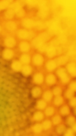 flower of a sunflower. Vertical yellow blurred mobile wallpaper. Bright plant background or backdrop on the theme of summer and flowering with soft focusの写真素材