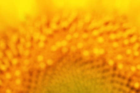 flower of a sunflower. Yellow blurred background. Vivid cheerful wallpaper on the theme of summer and flowering with soft focus. Bright plant backdrop. Top view from aboveの写真素材