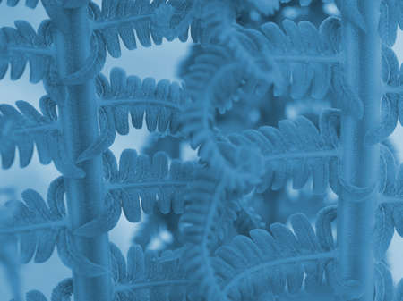 Fern foliage. Light blue tinted plant pattern. Stalks and leaves. Denim background or wallpaper....