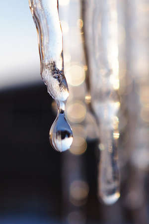 Icicles and a drop of meltwater in a rustic winter landscape in the sunset rays is a very close-up. snow melting. The beginning of spring and the warm season, the end of winter. Strong macroの写真素材