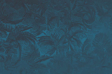 Pattern of magical fantasy plants. Abstract dark blue background or wallpaper. Drawing of ice on a...