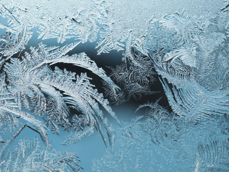 Abstract christmas background. Ice crystals on frozen window glass. Frost drawing. A pattern of leaves and stems of magical fantastic plants. Blue tinted winter wallpaper. cold and crystal. Macroの写真素材
