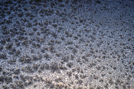 Frost patterns on glass in winter. Looks like falling leaves or fluff. Dark blue abstract background or wallpaper. Weather forecast: frost, snowfall, coolingの写真素材