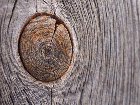 Background from old plank with a bough. close-upの写真素材