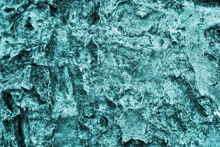 Fruit tree bark close up. abstract nature wallpaper. Turquoise tinted textured background. Macroの写真素材
