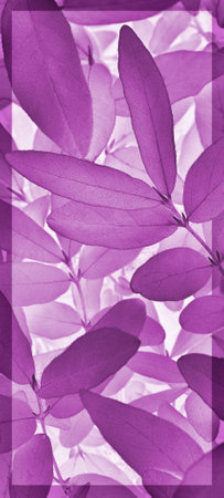 Vegetable vertical background from honeysuckle leaves. Dark pink mobile phone wallpaper from tree foliage. Abstract nature plant backdrop with vignetting. beautiful plants pattern. leaf textureの写真素材