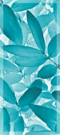 Light vegetable vertical background from honeysuckle leaves. Turquoise mobile phone wallpaper from tree foliage. Abstract nature plant backdrop with vignetting. beautiful plants pattern. leaf textureの写真素材