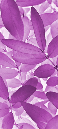 Vegetable vertical background from honeysuckle leaves. Purple mobile phone wallpaper from foliage of fruit bush. Abstract nature plant backdrop. beautiful plants pattern. leaf textureの写真素材