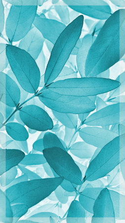 Light vegetable vertical background from honeysuckle leaves. Turquoise mobile phone wallpaper from tree foliage. Abstract nature plant backdrop with vignetting. beautiful plants pattern. leaf textureの写真素材