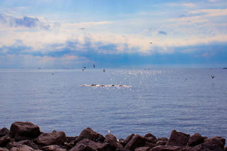 bright blue sea with sky and flying birds with stones in the foreground
