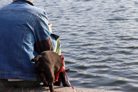 A small dog on a leash in a collar snuggles against its owner in the park against the background of the water. The friendship of man and animal. The concept of trust and friendship. Happiness in the modern world.の写真素材
