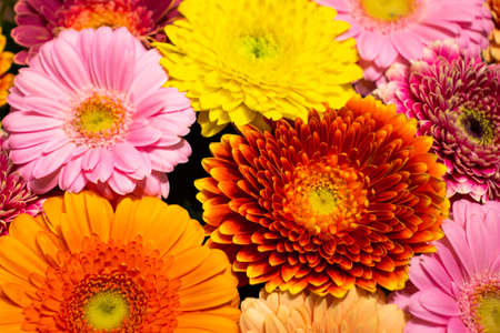 Many colorful vibrant colors close-up top view. Macro shot from above.の写真素材