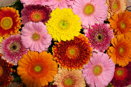 Many colorful vibrant colors close-up top view. Background to place text. Summer mood and joy. Warm vibe.の写真素材