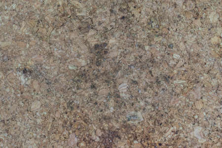 Light wood and sawdust texture. Copy space background.の写真素材