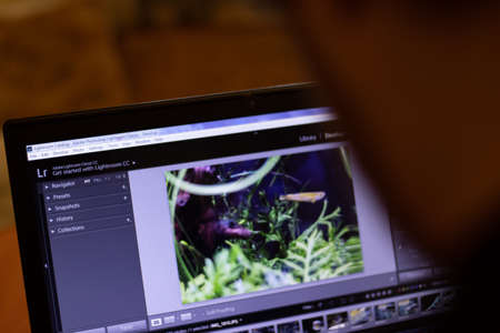 New York, USA - 9 April 2020: Adobe Lightroom application on laptop screen close up. Man using pc with blurry background, Illustrative Editorial.のeditorial素材