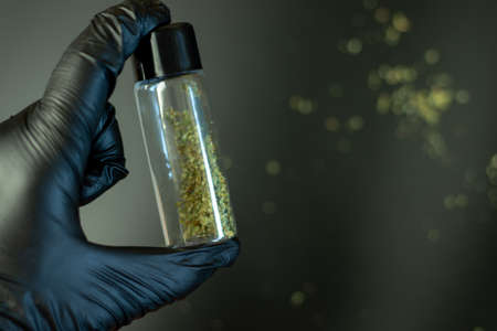 Medical marijuana in little container in hand with black glove. Blurry background with cannabis.の写真素材