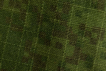 Green military texture background. Army style design backdrop.