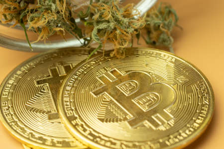 Bitcoin macro photo with cannabis buds. Buying drugs for cryptocurrency
