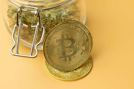 Bitcoin cryptocurrency use in buying drugs anonymously. Marijuana purchase for btc coin. Orange background close-up.の写真素材