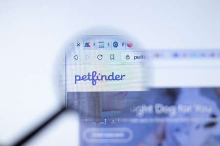 New York, USA - September 29, 2020: petfinder petfinder.com company website with logo close up, Illustrative Editorial.のeditorial素材