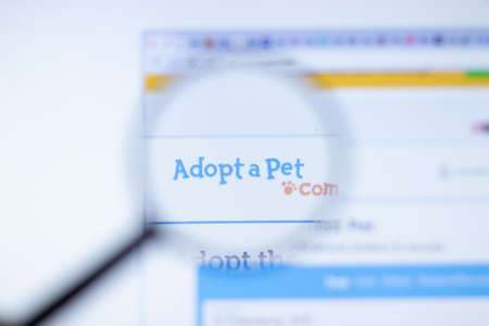 New York, USA - 29 September 2020: adoptapet.com Adoptapet company website with logo close up, Illustrative Editorial.のeditorial素材