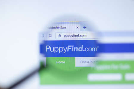 New York, USA - September 29, 2020: puppyfind.com PuppyFind company website with logo close up,...
