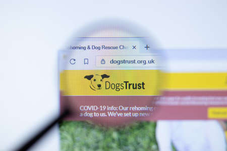 New York, USA - September 29, 2020: DogsTrust dogstrust.org.uk company website with logo close up,...