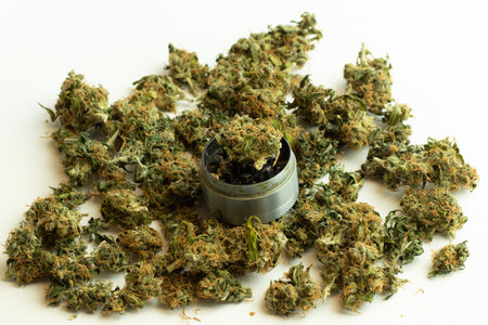 Grinder with big marijuana buds on desk top view, medical cannabis ready for smoking. THC drug use. Weed bud isolate white background.の写真素材