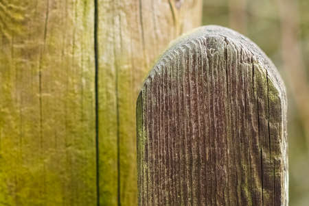 Old Wooden Country Gate : Post