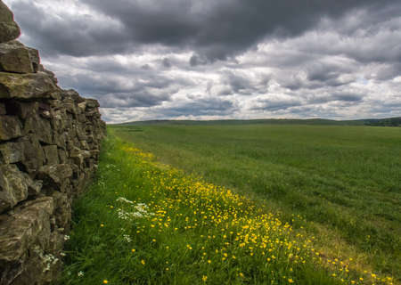Open Gate Into A green field under a stormy skyの写真素材