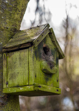 An Old Wooden Bird Houseの写真素材