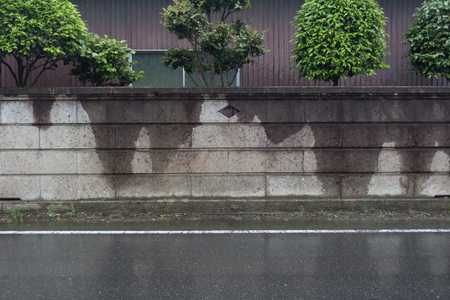 stone wallの写真素材