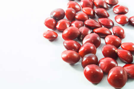 The seeds of Abrus precatorius Linn の写真素材