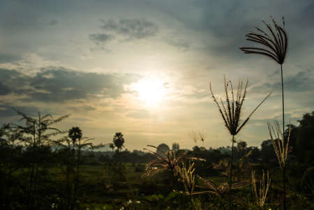 the light is beautiful in the morningの写真素材